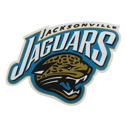 Jacksonville Jaguars Bowling Towel by Master