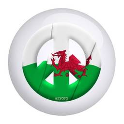 Wales Meyoto Flag Bowling Ball